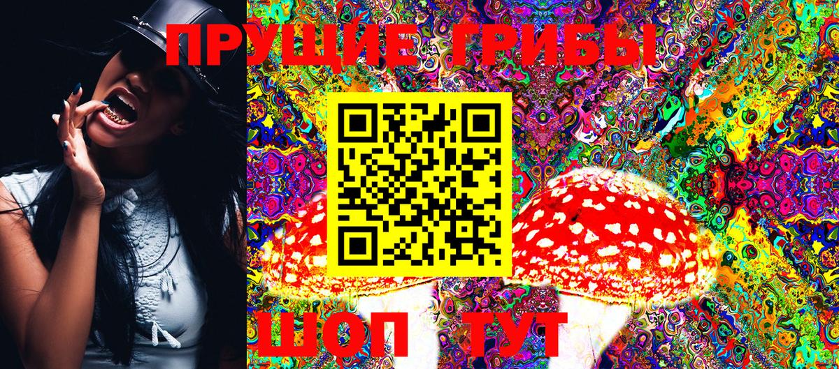 Галлюциногенные грибы MAGIC MUSHROOMS  Вход с VPN  Кудымкар 
