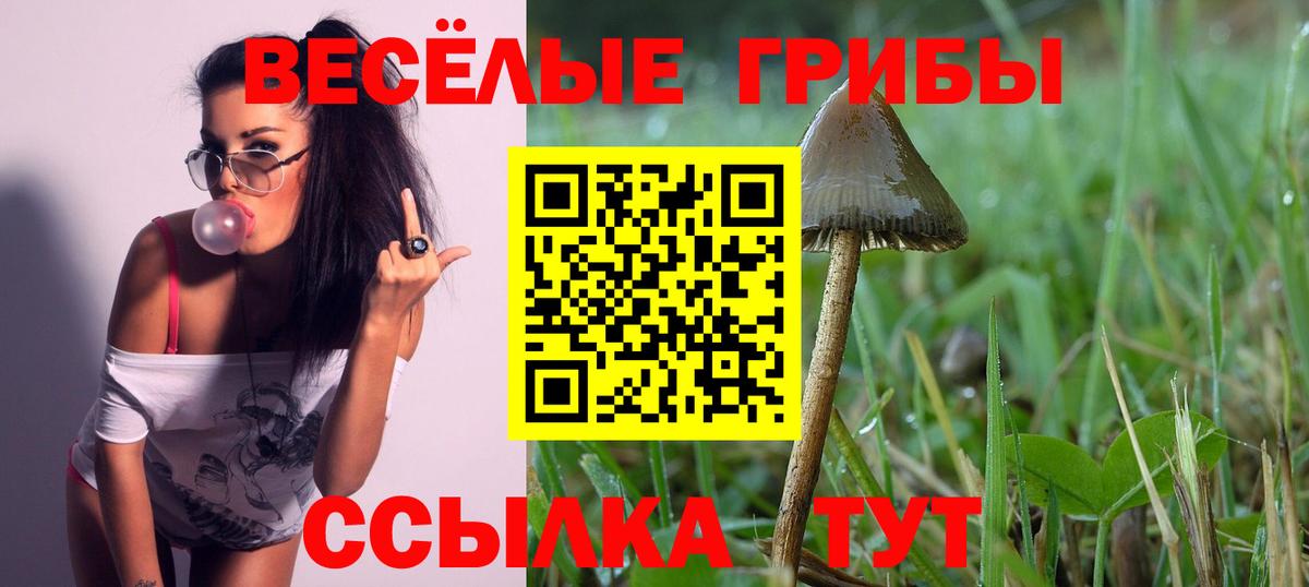 Галлюциногенные грибы GOLDEN TEACHER Кудымкар